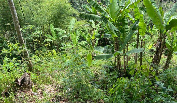 For Sale Investable Land In Keliki Ubud 2