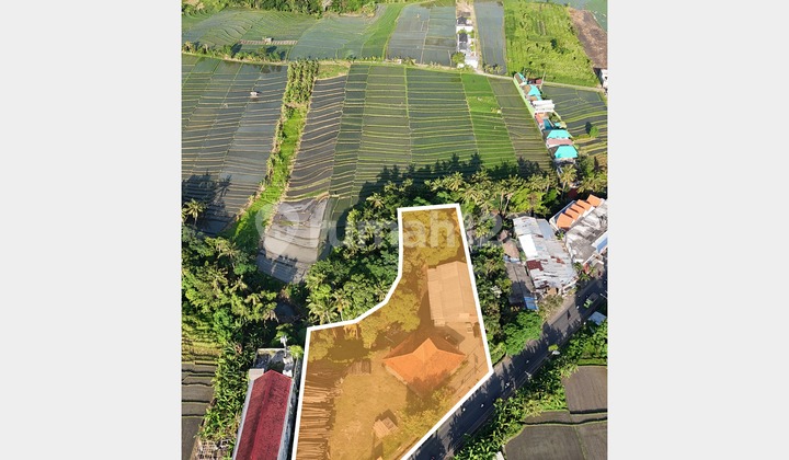 Tanah Strategis di Pinggir Jalan di Buwit, Tabanan