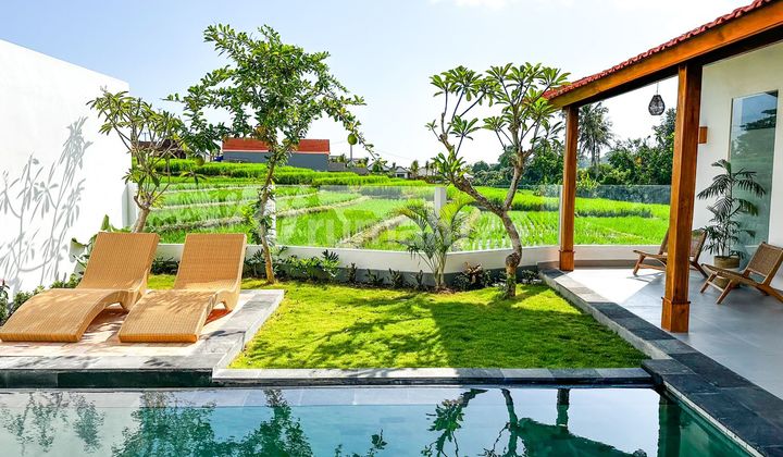 For Rent - Charming 2 BR Villa Near Seseh & Munggu Beach