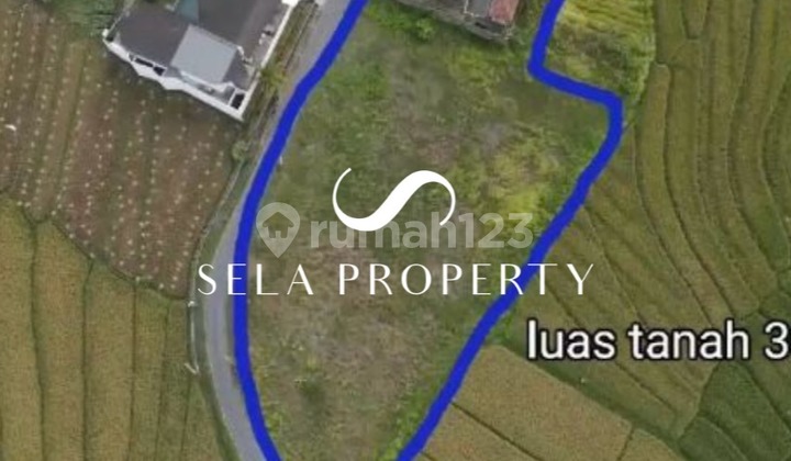 Investasi Tanah Strategis di Cemagi Investasi Tanah Strategis di Cemagi