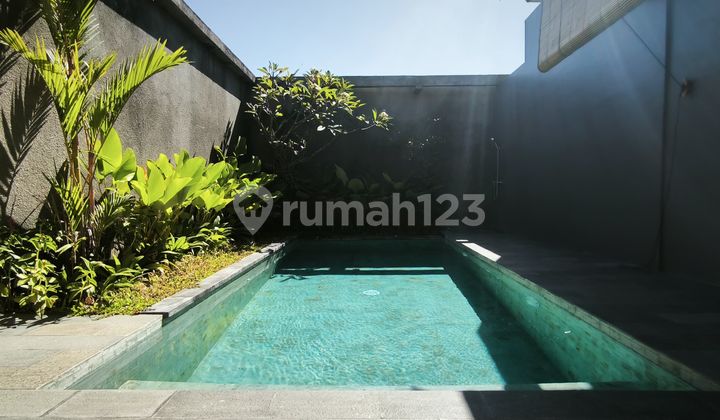 Modern Tropical Villa In Denpasar