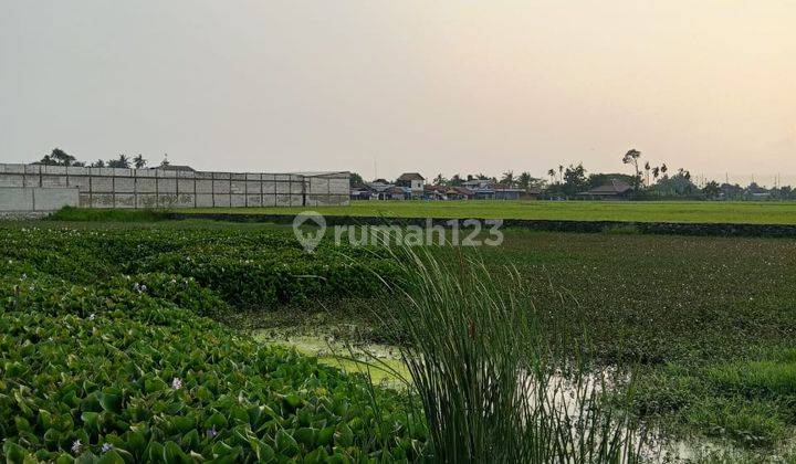 Dijual Tanah Sawah Strategis di  Pakuhaji, Tangerang 2