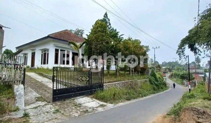 Tumpang Malang cukup luas cocok di buat utk Home Stay dan Tempat Tinggal 2