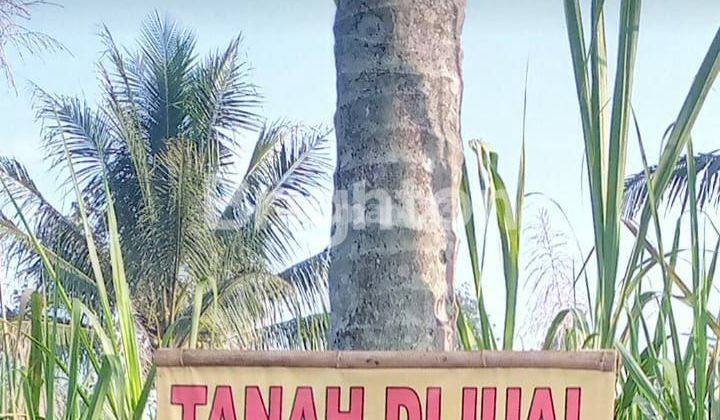 Sumber Suko Tajinan Tanah Sangat luas Cocok utk Gudang dan tempat usaha 1