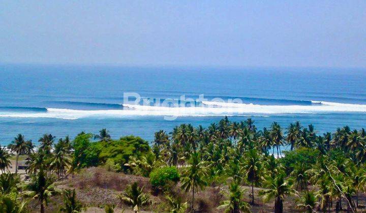 Sumba Lamboya Bawah Pantai Kerewe Tanah Kren Banget View langsung ke pantai  1