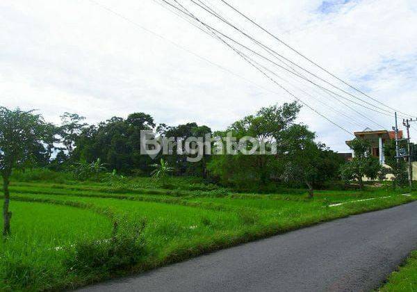 Turun Harga. Kedung Pring Lamongan Tanah Sangat Luas Strategis Cocok Untuk Pabrik Dan Gudang 2