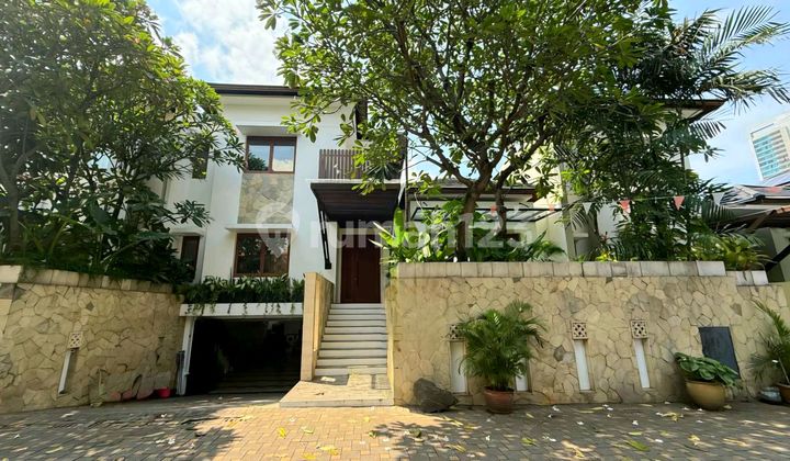 Rumah Modern Tropical Kemang Just Renovated Resort Vibes