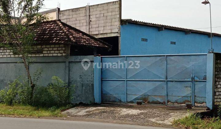 Gudang Dermo Benjeng Gresik Aset Macet Bank, Cash Only 2