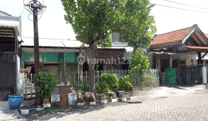 JUAL RUMAH JALAN KALIRUNGKUT SURABAYA - CASH ONLY 2