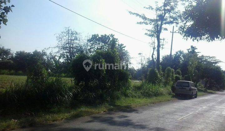 TANAH KAVLING RAYA PROBOLINGGO BROMO COCOK UNTUK SPBU (Y1893) 1