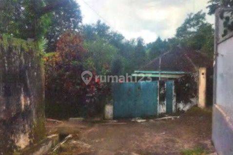 RUMAH DAN TANAH JALAN KENANGAN PASURUAN SD9277 1