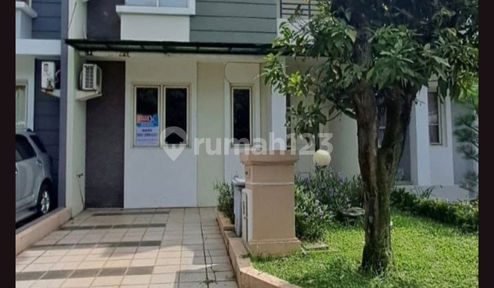 Cheapest Sale of Fluorite Cluster in Gading Serpong