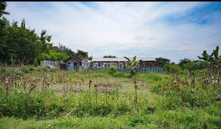 Dijual Tanah di Jeruk Sawit Gondangrejo 2