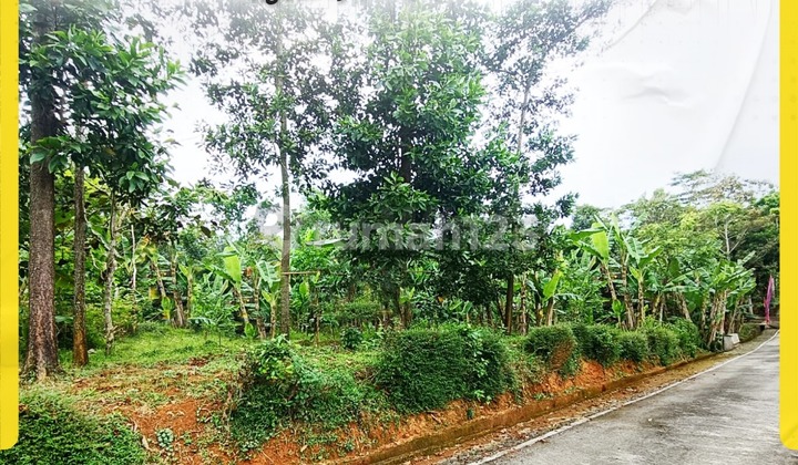 Land for Sale in Ngadirejo Mojogedang, Quiet Neighborhood Land for Sale in Ngadirejo Mojogedang, Quiet Neighborhood