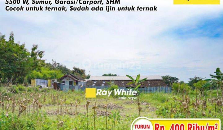 Dijual Tanah di Jeruk Sawit Gondangrejo 1