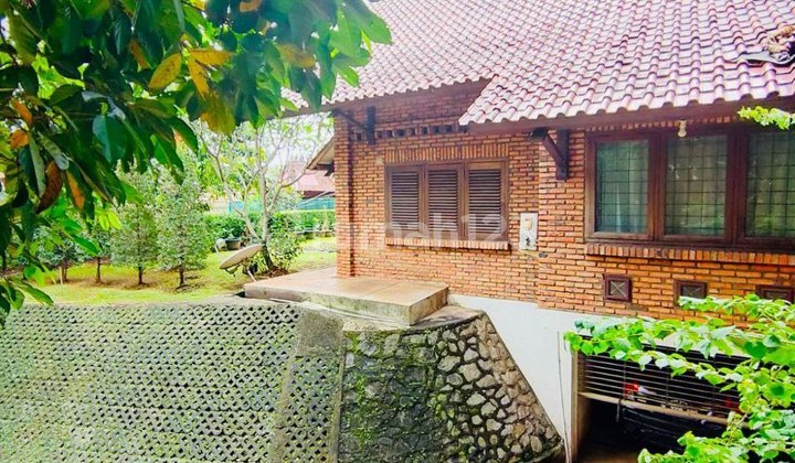 Rumah Luas Artistik Di Sisi Jalan Ciganjur Jakarta Selatan Rumah Luas Artistik Di Sisi Jalan Ciganjur Jakarta Selatan