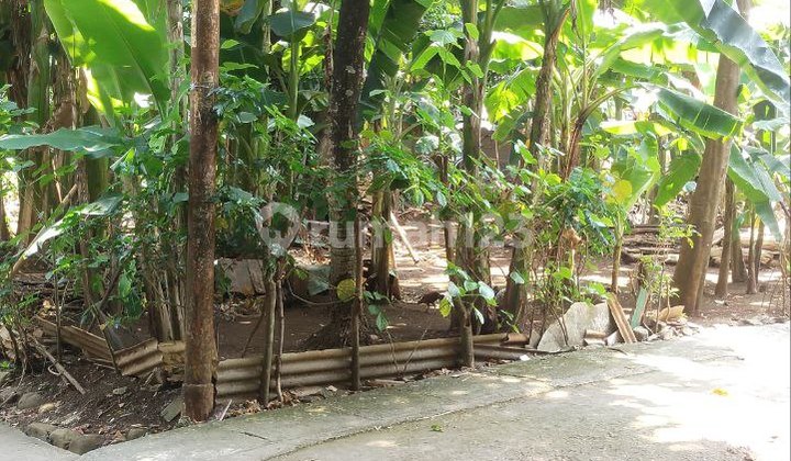 Tanah Hook Luas 637M Jalan Raya Wibawa Mukti 2 Jati Asih Bekasi Tanah Hook Luas 637M Jalan Raya Wibawa Mukti 2 Jati Asih Bekasi