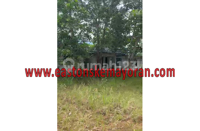 Badau Factory for Sale Badau Factory for Sale
