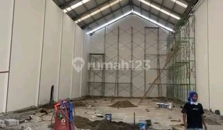 Cheap Livestock Warehouse for Rent