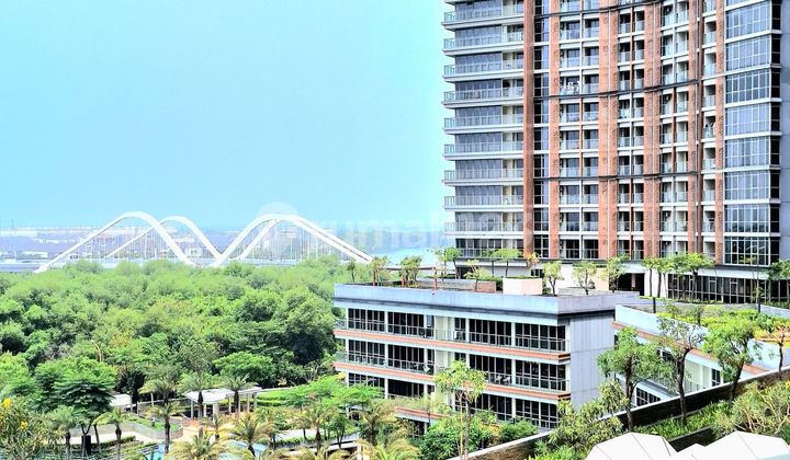 Rent Fast Gold Coast Apartment 1