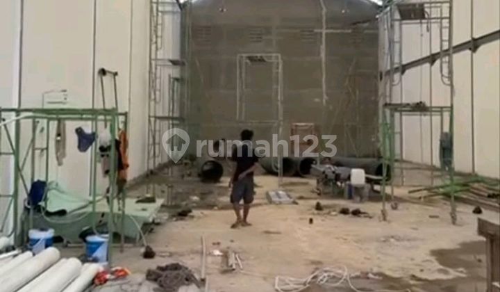 Cheap Livestock Warehouse for Rent