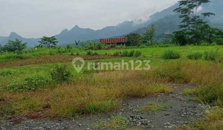 Cheap Land in Bogor for Industry