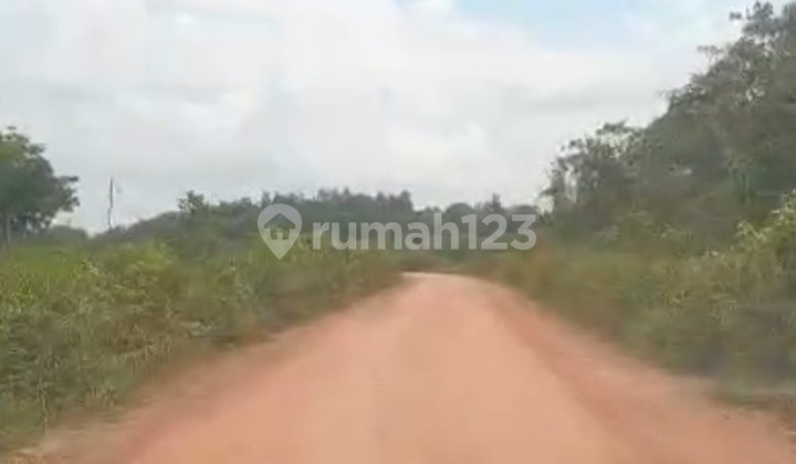 Dijual Lahan Buat Sawit Ogan Komering Ilir Palembang