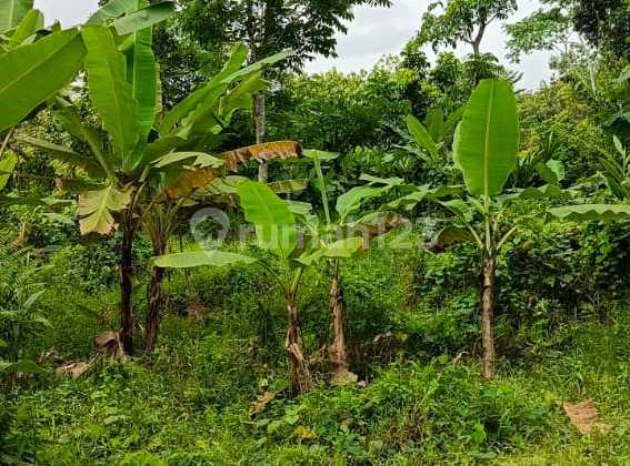 For Sale Fast Plot + Villa on Jl Cirendeu - Villa on Jl Cirendeu -