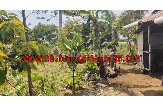 Dijual Kavling Gunung Talang  2