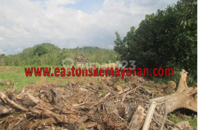 Sale of Pattalassang Plot Sale of Pattalassang Plot