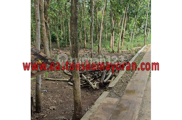 Dijual Kavling Paliyan Dijual Kavling Paliyan