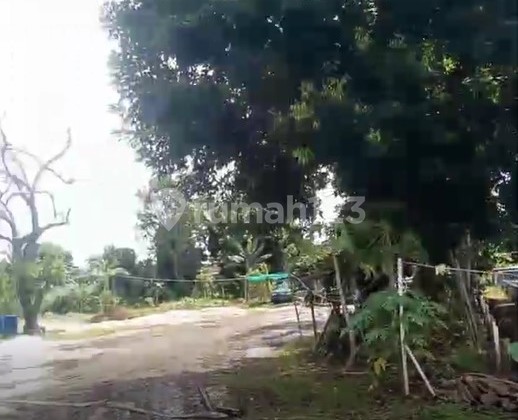 Affordable Large Land for Sale near BSD (NEGOTIABLE!!!)