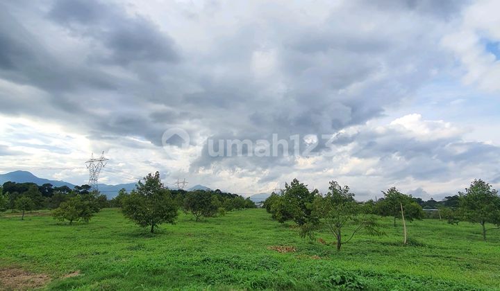 Dijual Tanah Luas di Jalan Utama Provinsi Parakan Muncang Dijual Tanah Luas di Jalan Utama Provinsi Parakan Muncang