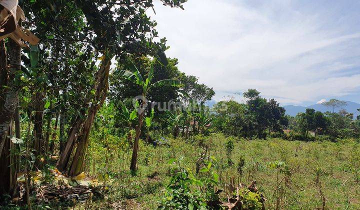 Dijual Murah Tanah Datar Jalan Utama Parakan Pamulihan  2