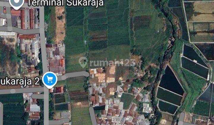 Dijual Tanah Sawah Dan Kolam Luas Di Sukaraja Selawangi Sukabumi 2