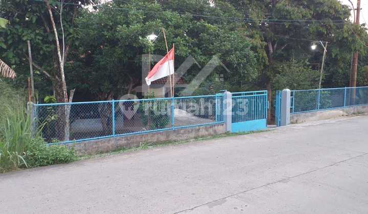 Cheap Simple House with Large Land, Built for Business by the Roadside 2