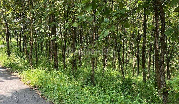 Tanah di Kicembang, Majalengka 2.200 m² 1