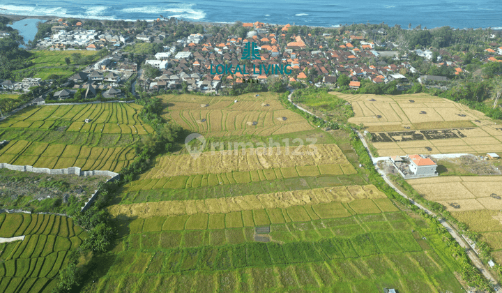 Tanah Komersil Di Kawasan Wisata Pantai Seseh Seluas 3,064 m² 2