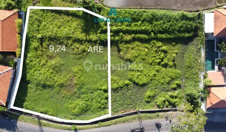 Best Investment Land with an Area of 9240m2 in Tumbak Bayuh Near the Road 2