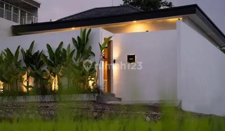 Vila 2 Kamar Minimalis Design Di Tumbak Bayuh Pemandangan Sawah 1