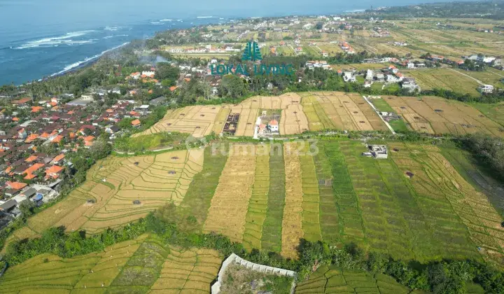 Tanah Komersil Dekat Dengan Pantai Seluas 3.064 Are di Seseh SHM 1