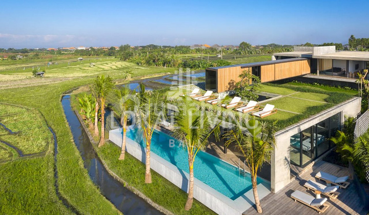 Villa Mewah Dengan 5 Kt Di Kayu Tulang, Canggu, Villa Mewah Dengan 5 Kt Di Kayu Tulang, Canggu,