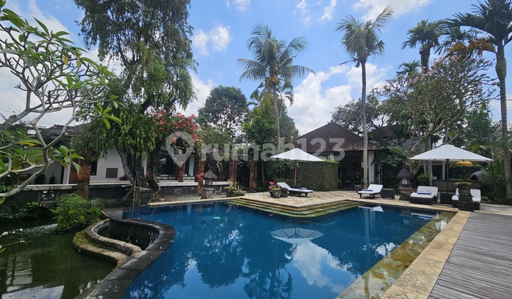 Sayan Yearly Villa - Quiet, lush and breezy 4 Bedroom Sayan Yearly Villa - Quiet, lush and breezy 4 Bedroom