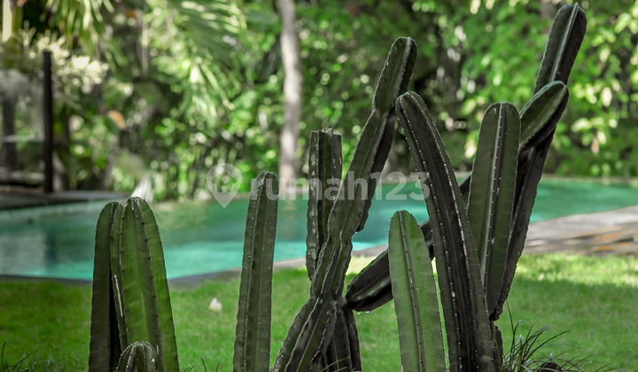 Annual Rental of a 3-Bedroom Villa on a 15 Are Green-Belt Edge in Cepaka, Tumbak Bayuh (Near Pererenan)