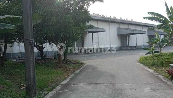 Ready-to-Use Warehouse for Rent in Bitung, Tangerang Ready-to-Use Warehouse for Rent in Bitung, Tangerang