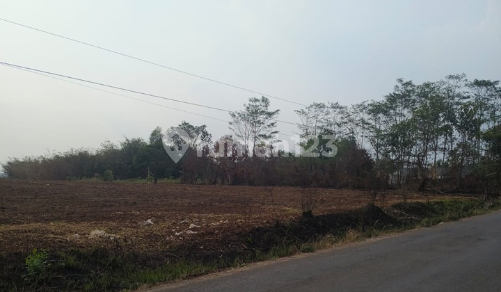 Tanah Luas Lokasi Padasuka Dekat Citra Maja Raya Tanah Luas Lokasi Padasuka Dekat Citra Maja Raya