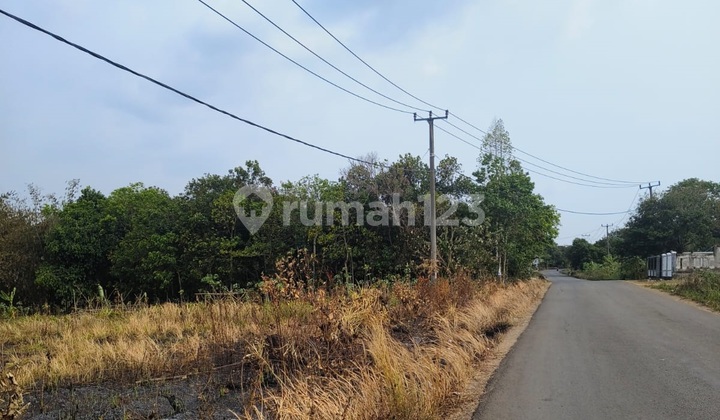 Tanah Harga Murah Di Padasuka Kec. Maja Lebak Banten