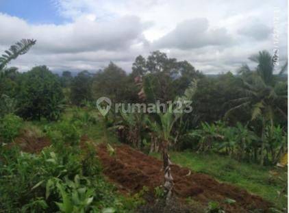 Tanah Harga Murah Cocok Perumahan Di Gianjar Sukabumi 2