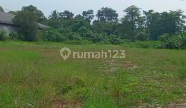Tanah Lahan Untuk Gudang Pabrik Lokasi Strategis Di Cikupa