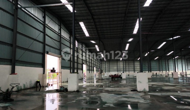 Disewakan Gudang Siap Pakai di Sepatan Tangerang Banten